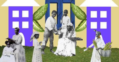 Exposições no Sesc abrem Temporada França-Brasil 2025 em São Paulo