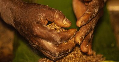 GO: grileiros ameaçam pesquisadores do Incra em área com quilombolas