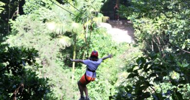 Gestores aprovam modelo de concessão de parques naturais e urbanos