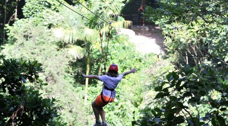Gestores aprovam modelo de concessão de parques naturais e urbanos