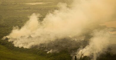 Moradores do oeste paulista recebem alerta de tempo seco por celular