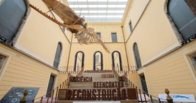 Museu Nacional realiza no domingo sétima edição de festival