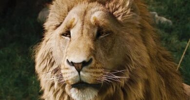 O Sobrinho do Mago”, de Greta Gerwig, são reveladas; veja