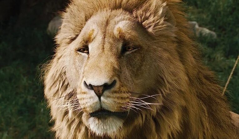 O Sobrinho do Mago”, de Greta Gerwig, são reveladas; veja