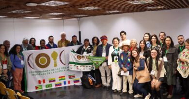 Organizações sociais querem participação na governança da OTCA