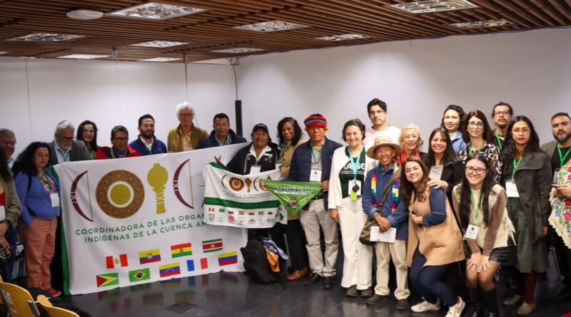 Organizações sociais querem participação na governança da OTCA