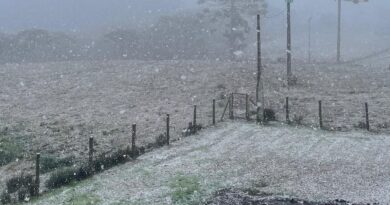 Rio Grande do Sul registra neve em algumas localidades