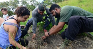 Rio: mutirão na Serra do Vulcão promove ações climáticas da periferia