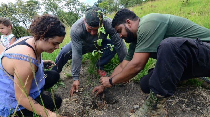 Rio: mutirão na Serra do Vulcão promove ações climáticas da periferia