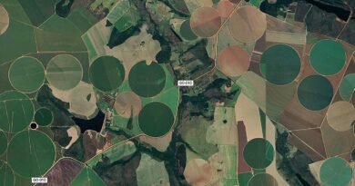 Suspensão da Moratória da Soja pelo Cade preocupa Meio Ambiente