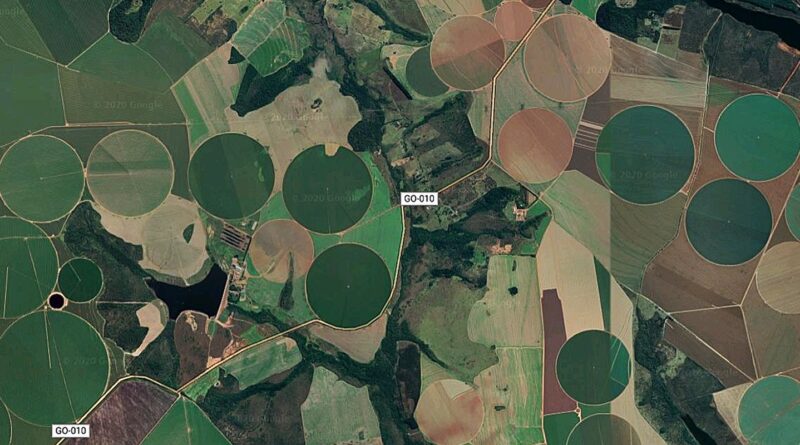 Suspensão da Moratória da Soja pelo Cade preocupa Meio Ambiente