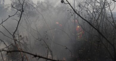 UE: incêndios florestais já queimaram mais de 1 milhão de hectares