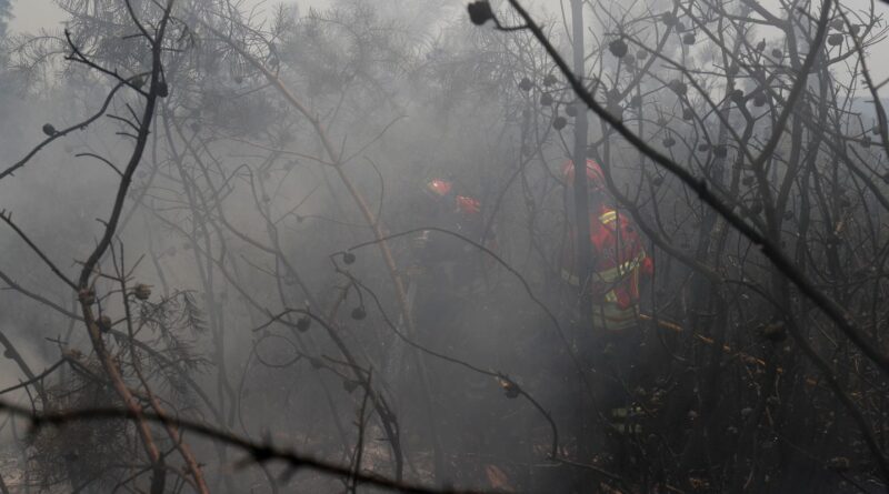 UE: incêndios florestais já queimaram mais de 1 milhão de hectares