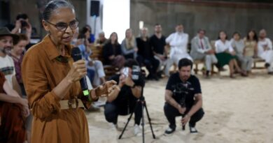 “Vetos de Lula a PL das licenças ambientais ajudam país”, diz Marina