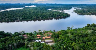 BNDES lança edital voltado para recuperação da floresta amazônia