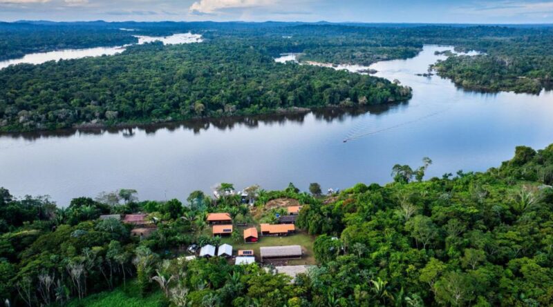 BNDES lança edital voltado para recuperação da floresta amazônia