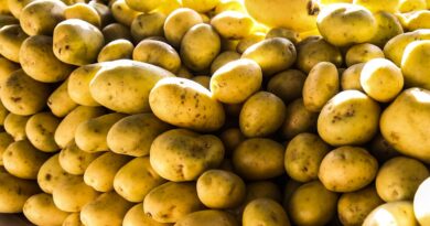 Batata, ovos e verduras reduzem pressão inflacionária em agosto em SP