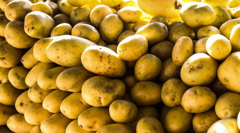 Batata, ovos e verduras reduzem pressão inflacionária em agosto em SP