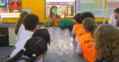 Boas Práticas Escolares traz iniciativa que transforma alunos em "protetores da natureza"