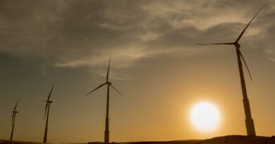 Brasil e mais 16 países assinam carta por transição energética justa