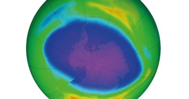 Camada de ozônio deve ter recuperação total nas próximas décadas