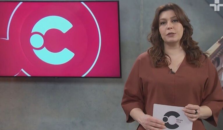 Câmara Viva debate segurança de dados e uso da internet por crianças