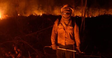 Caminhos da Reportagem expõe os desafios no combate às queimadas