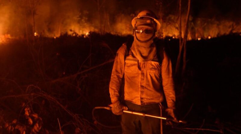 Caminhos da Reportagem expõe os desafios no combate às queimadas