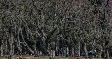 Cidade de São Paulo tem agosto mais seco desde 2020