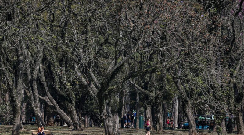 Cidade de São Paulo tem agosto mais seco desde 2020