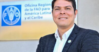 Combate à gripe aviária depende de articulação e abordagem integral