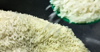 Conab anuncia R$ 300 milhões para produtores de arroz na safra 2025/26