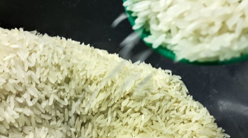 Conab anuncia R$ 300 milhões para produtores de arroz na safra 2025/26