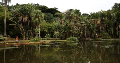 Concurso de Fotografia integra programação do Dia Mundial da Limpeza