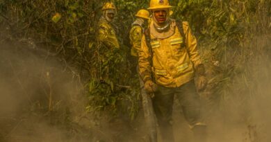 Fotógrafo da Agência Brasil é destaque em prêmio internacional