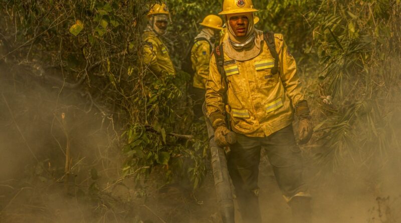 Fotógrafo da Agência Brasil é destaque em prêmio internacional