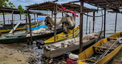 Gestão do seguro-defeso passará para Ministério do Trabalho em outubro