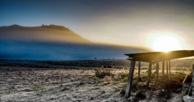 Governo abre crédito de R$ 12 bilhões para produtores rurais