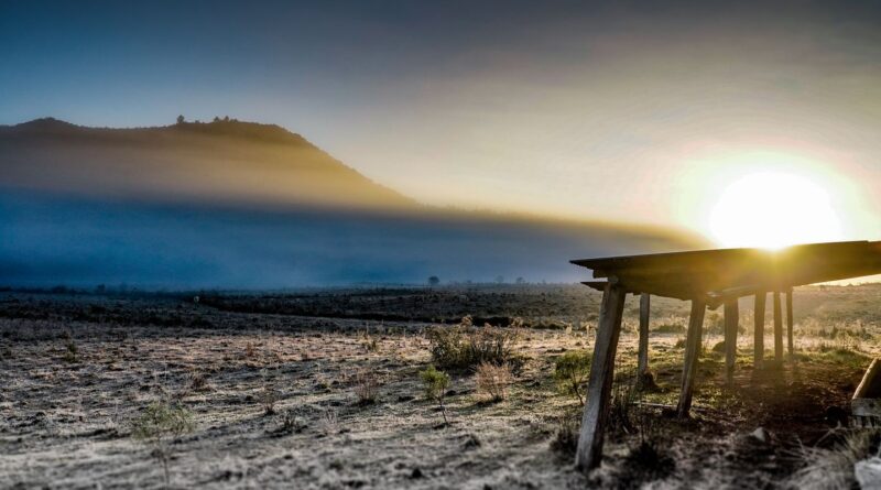 Governo abre crédito de R$ 12 bilhões para produtores rurais