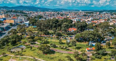 IBGE lança proposta para mapear áreas verdes urbanas no Brasil