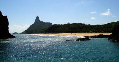 Ilhas brasileiras: estudo revela presença de espécies exclusivas