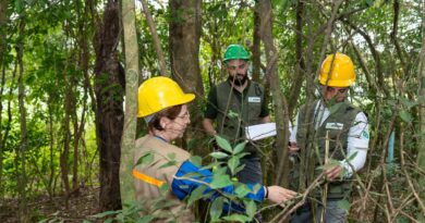 Itaipu triplica diversidade florestal nos arredores do reservatório