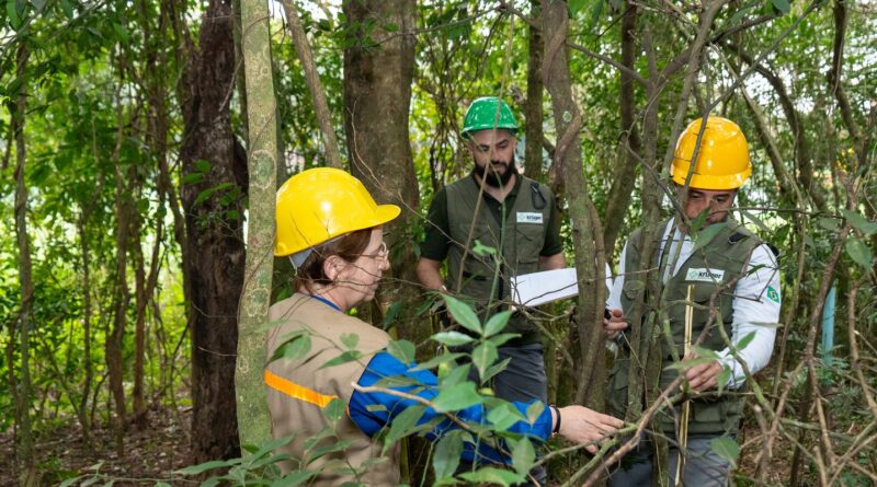 Itaipu triplica diversidade florestal nos arredores do reservatório