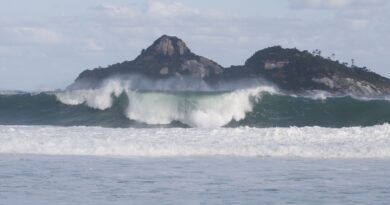 Jovens de 9 países participam de curso de pesquisas oceânicas no Rio