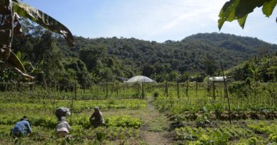 Lula autoriza uso de R$ 12 bilhões para renegociação de dívidas rurais