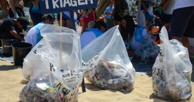 Mutirões marcam a passagem do Dia Mundial da Limpeza