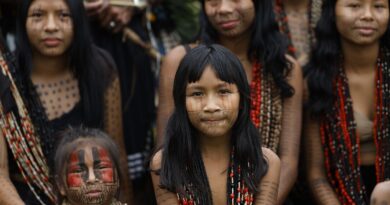 Nova lei integra dados para desenvolvimento integral da 1ª infância