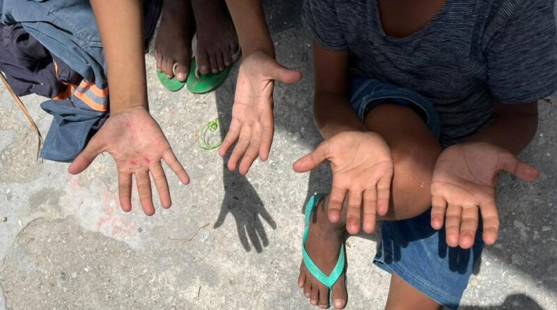 ONG alerta para alta do trabalho infantil entre crianças de 5 a 9 anos