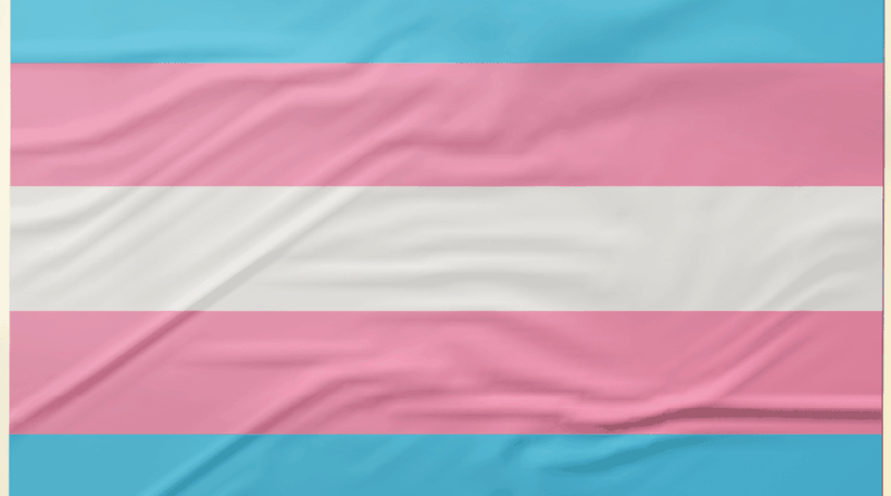 Pesquisa recomenda ações de prevenção ao HPV focadas em pessoas trans