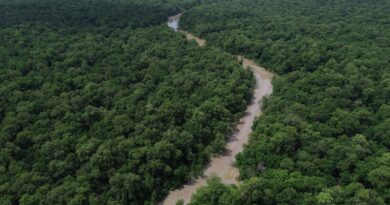 Programação do Dia da Amazônia mobiliza para COP30